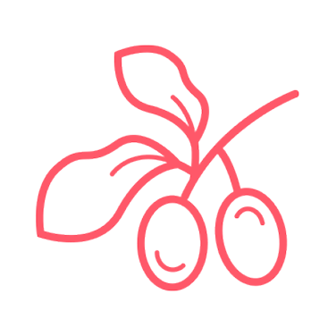 Shae Butter Illustration