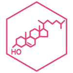 Cholesterol ingredient illustration