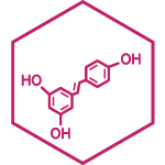 Resveratrol illustration.
